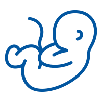 embryo freezing